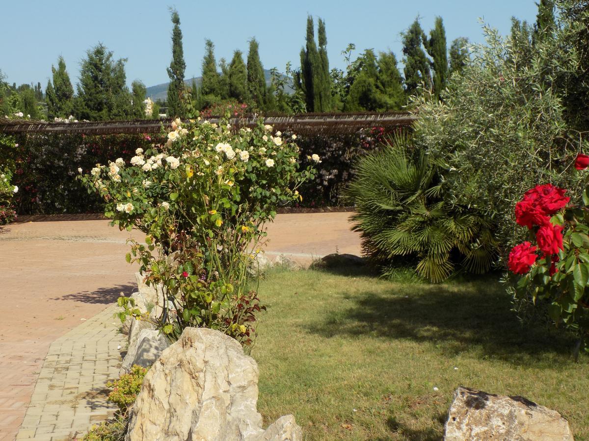 Villa Sorrentina Alghero Exterior foto